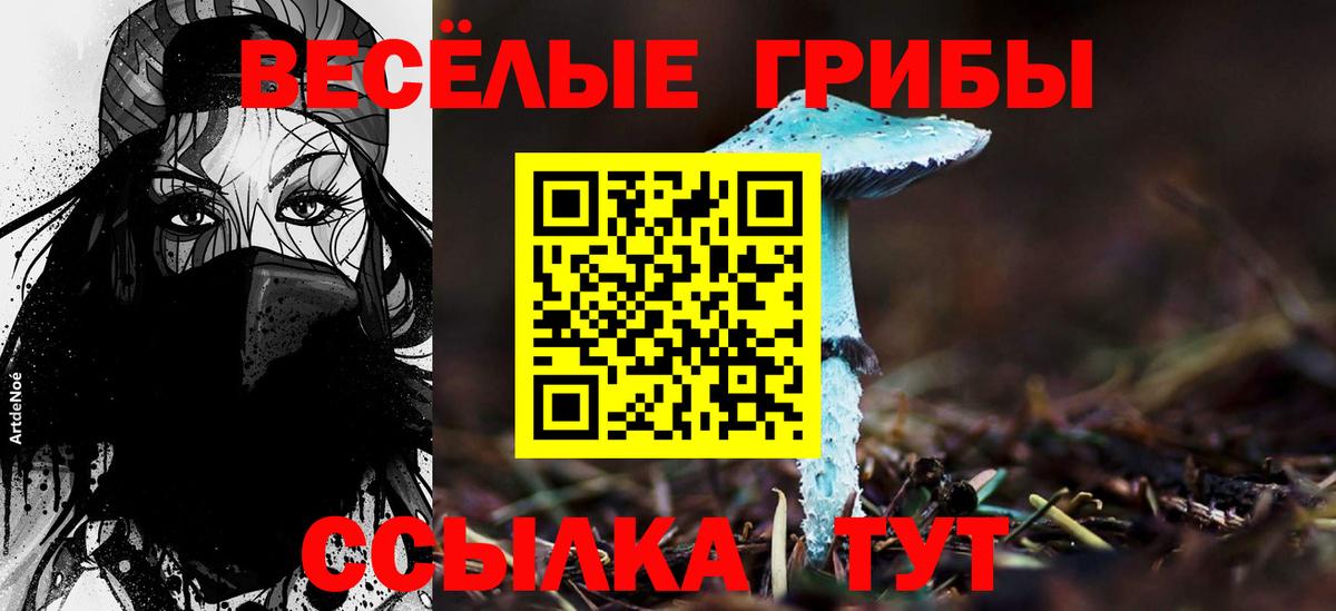 цены наркотик  Псилоцибиновые грибы GOLDEN TEACHER  Вход с VPN  Кропоткин 