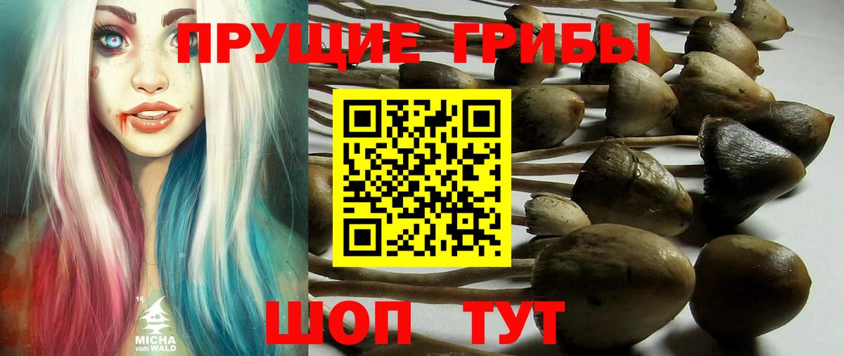 Галлюциногенные грибы ЛСД Кропоткин